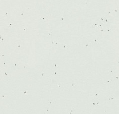 Линолеум Forbo Sphera Energetic 50230 polar фото 1 | FLOORDEALER